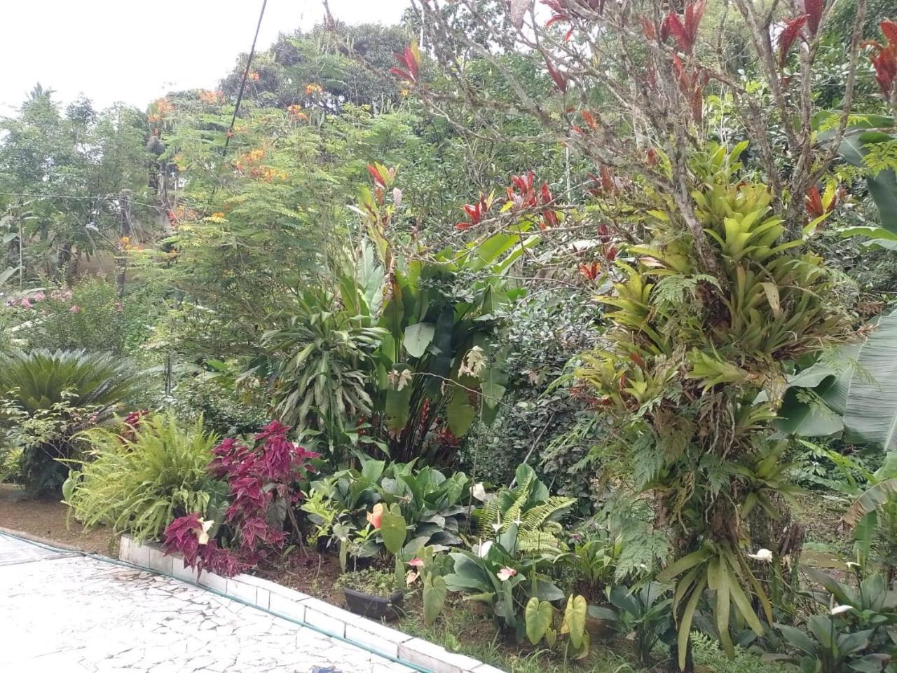 Em Chacara Aconchegante - Kitnet *